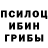 Галлюциногенные грибы прущие грибы Ovik Asatryan