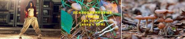 mdpv Елизово