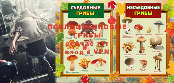 mdpv Елизово