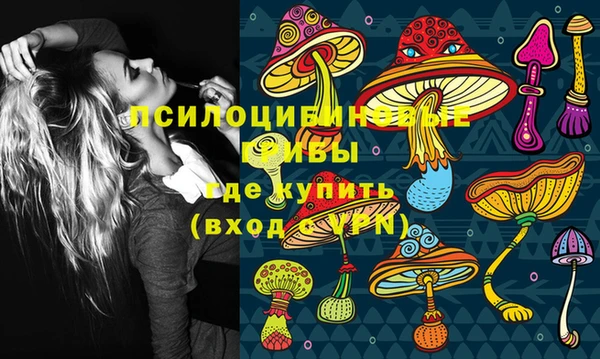 mdpv Елизово
