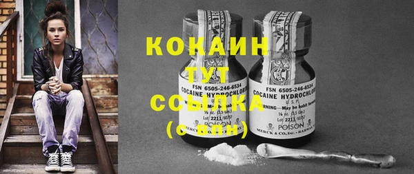 мдма Ельня
