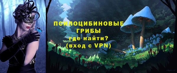 мдма Ельня