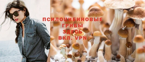 mdpv Елизово