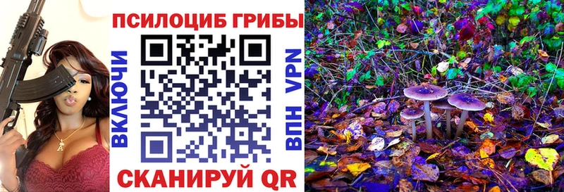 Галлюциногенные грибы мухоморы  Купить закладки  Звенигово 